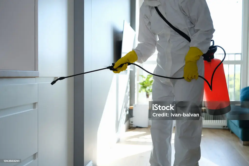 Mold and mildew treatment