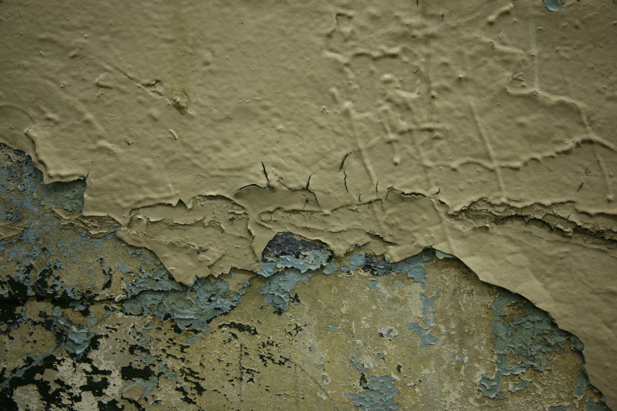 Paint stripping and removal
